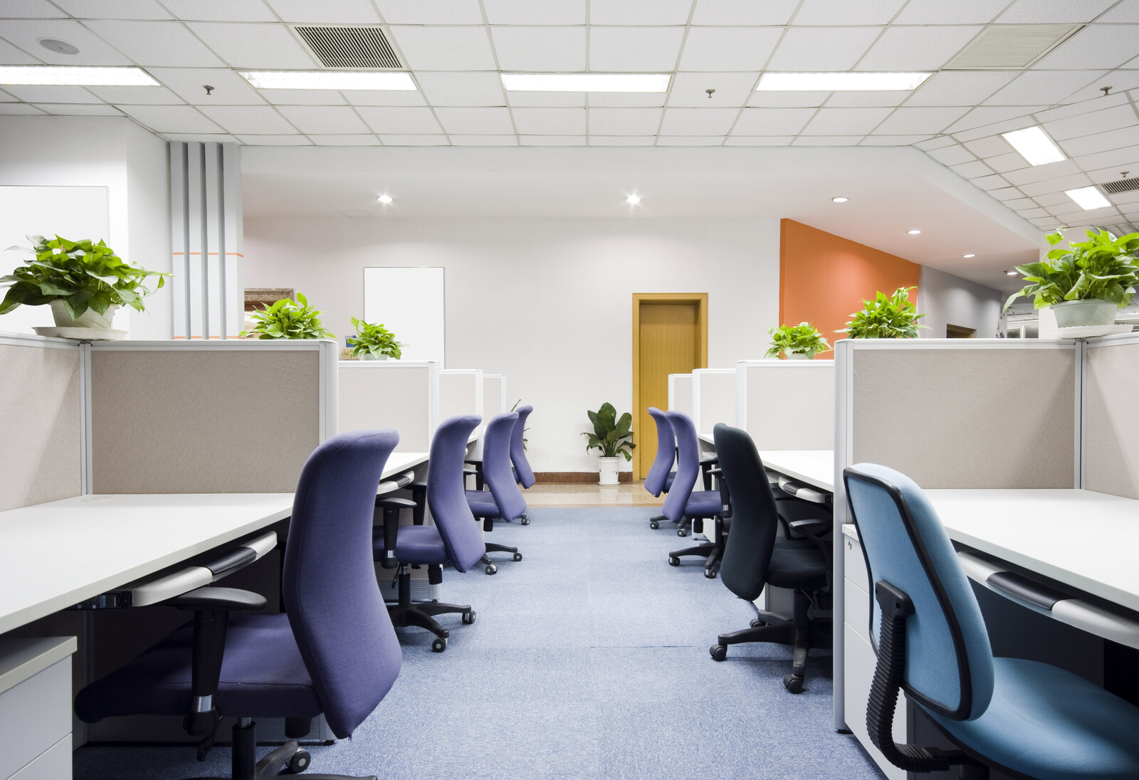 canstockphoto12583213